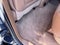 2017 Cadillac Escalade PLATINUM / 6.2 LITER V8 / SUNROOF / ADAPTIVE CRUISE / LOCAL TRADE