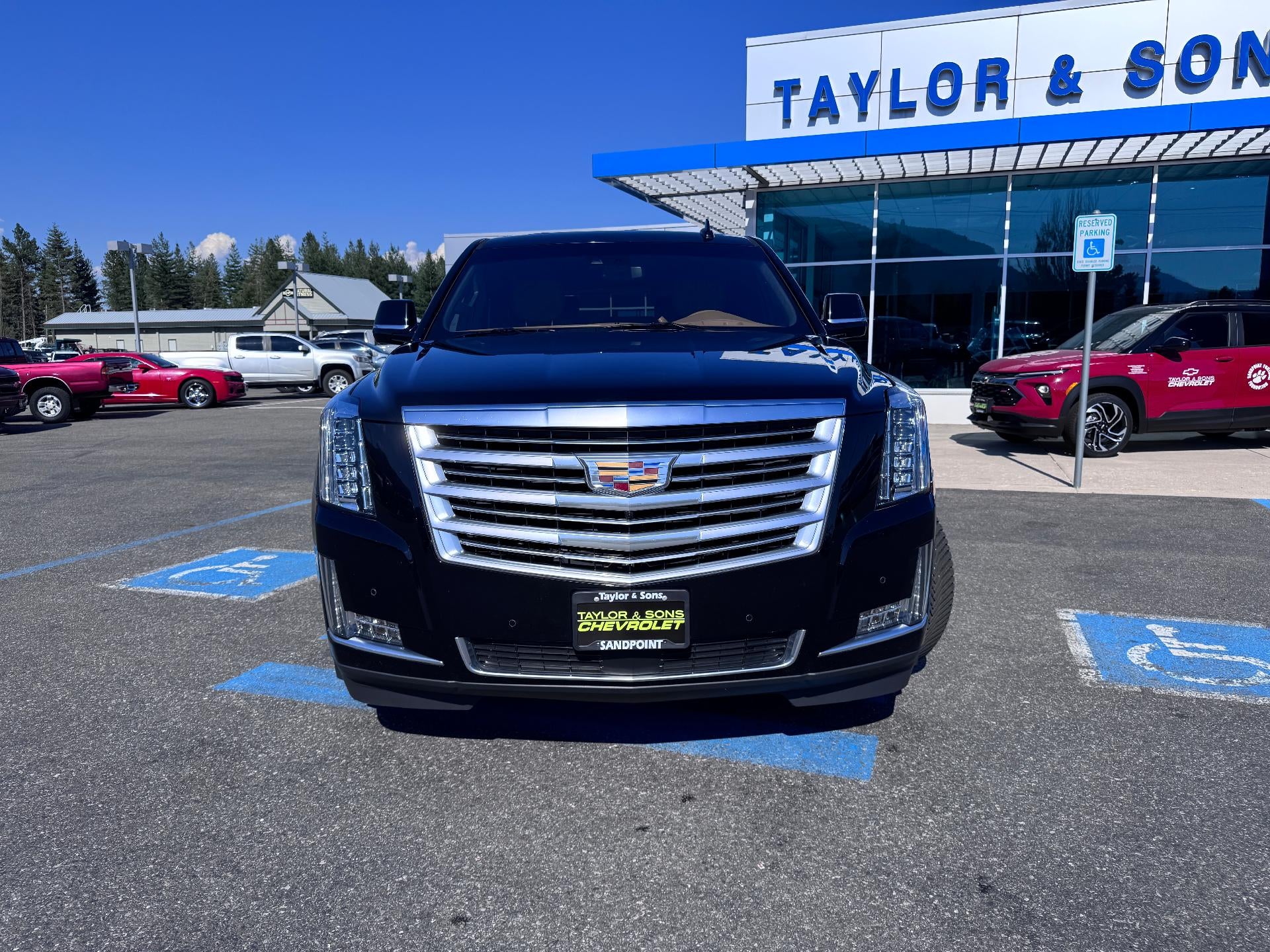 2017 Cadillac Escalade PLATINUM / 6.2 LITER V8 / SUNROOF / ADAPTIVE CRUISE / LOCAL TRADE
