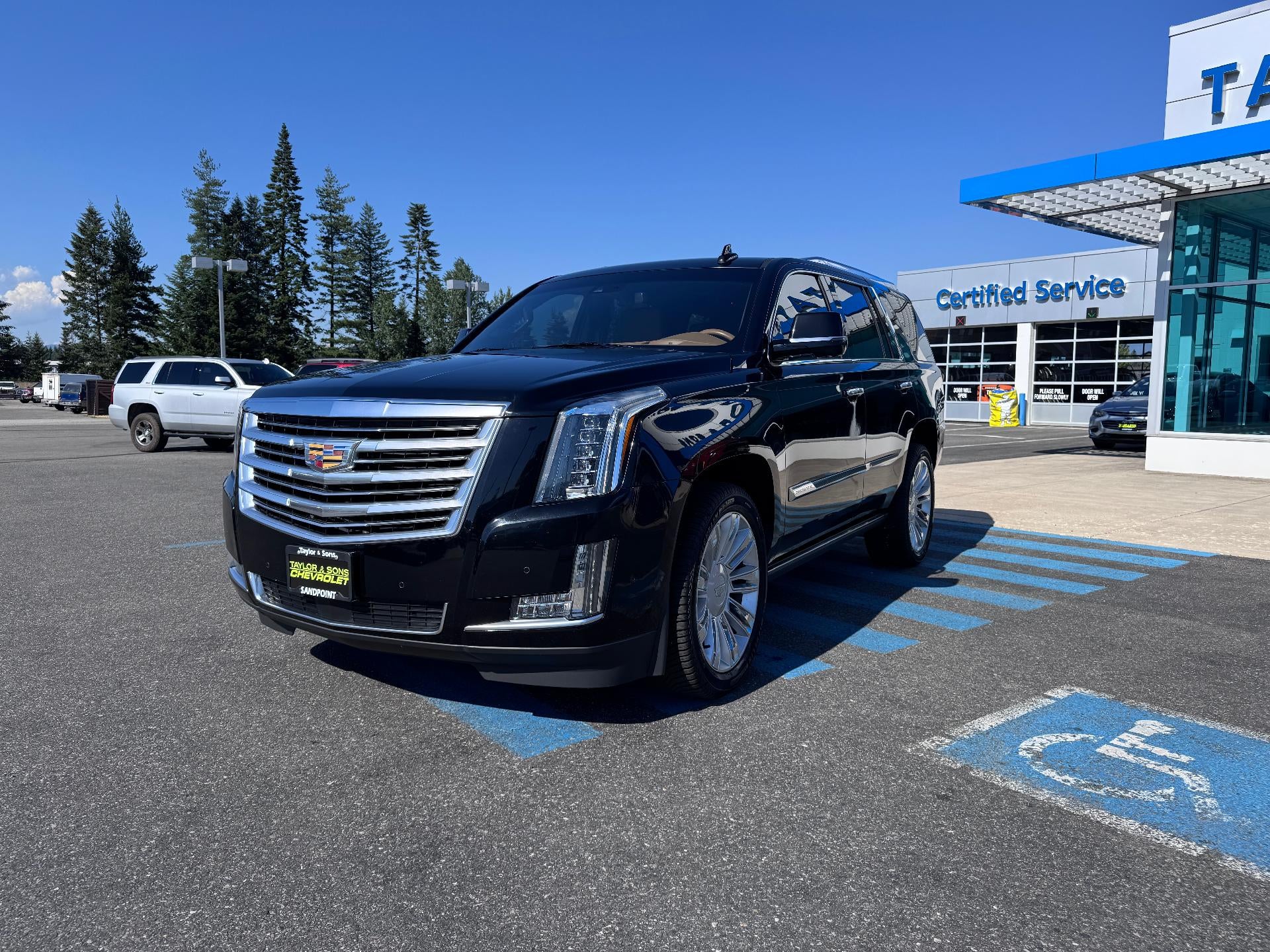 2017 Cadillac Escalade PLATINUM / 6.2 LITER V8 / SUNROOF / ADAPTIVE CRUISE / LOCAL TRADE