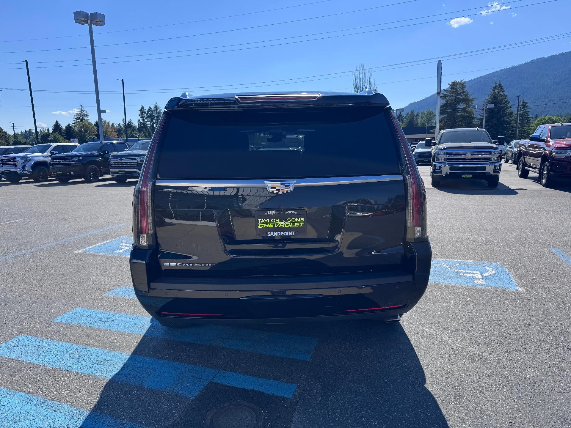 2017 Cadillac Escalade PLATINUM / 6.2 LITER V8 / SUNROOF / ADAPTIVE CRUISE / LOCAL TRADE