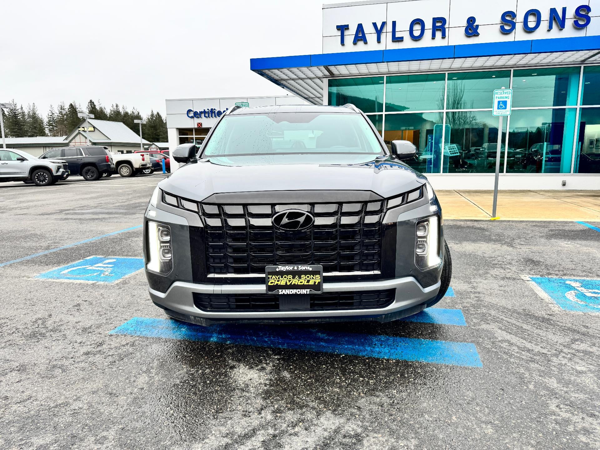 2025 Hyundai Palisade LIMITED / AWD / 3.8 LITER V6 / SURROUND VISION / SUNROOF / 1 OWNER / WARRANTY